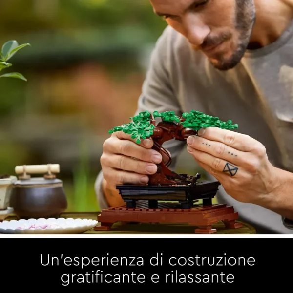 Sale Albero Bonsai 10281 Mattoncini