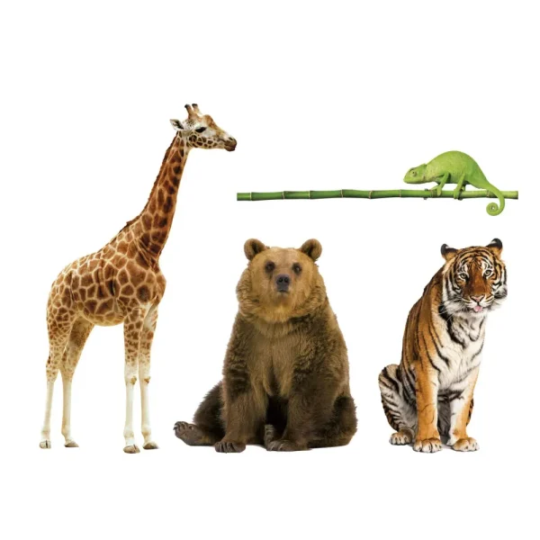 Store Animali Da Record Giochi Di Societa Per Bambini