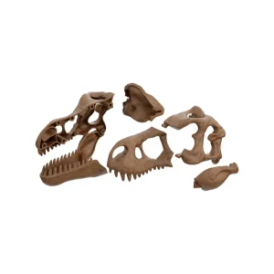 Shop Clementoni 19324 Archeogiocando Kit T-Rex 2In1 Giochi Scientifici