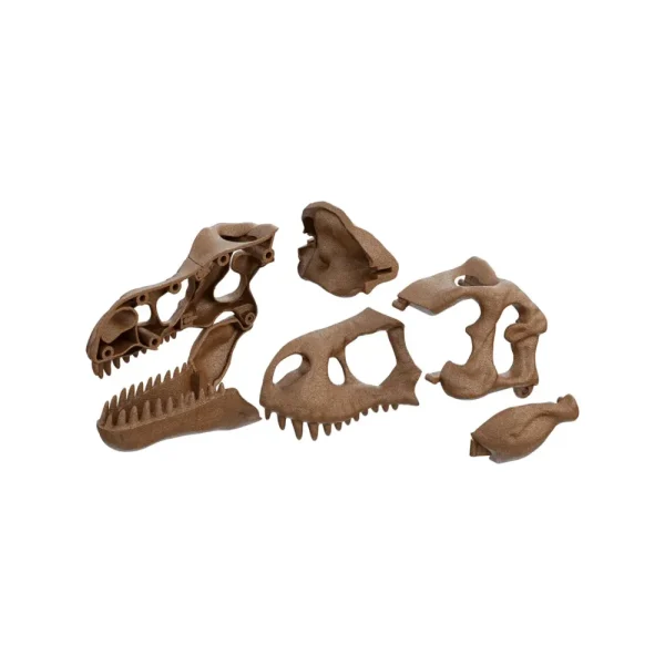 Shop Clementoni 19324 Archeogiocando Kit T-Rex 2In1 Giochi Scientifici