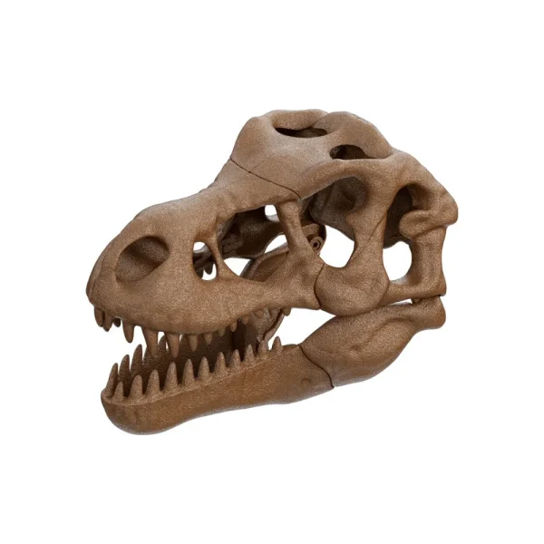 Shop Clementoni 19324 Archeogiocando Kit T-Rex 2In1 Giochi Scientifici