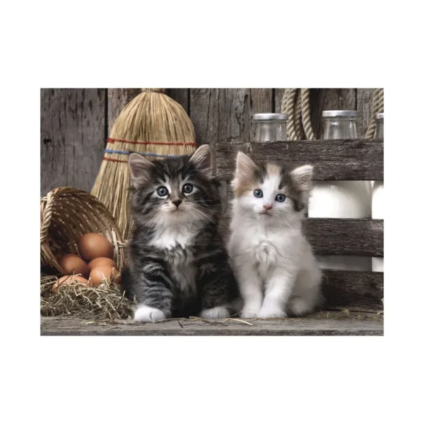 Store 39340 Puzzle 1000 Hqc Lovely Kittens 70 X 50 Cm Puzzle 1000 Pezzi