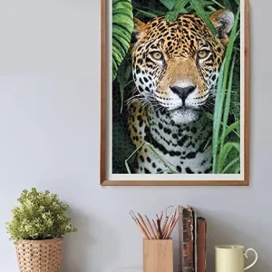 Fashion High Quality Collection Puzzle Jaguar In The Jungle 500 Pezzi Puzzle 500 Pezzi