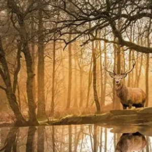 Cheap Peace Puzzle The Forest 500 Pezzi Puzzle 500 Pezzi
