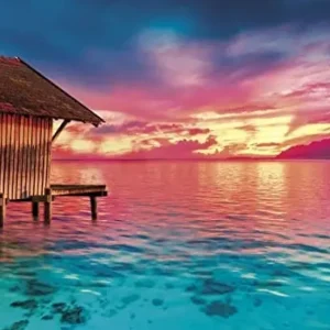 Discount Peace Puzzle The Ocean 500 Pezzi Puzzle 500 Pezzi