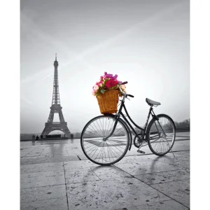Fashion Puzzle High Quality Collection Romantic Promenade In Paris 500 Pezzi, Puzzle Adulti Puzzle 500 Pezzi