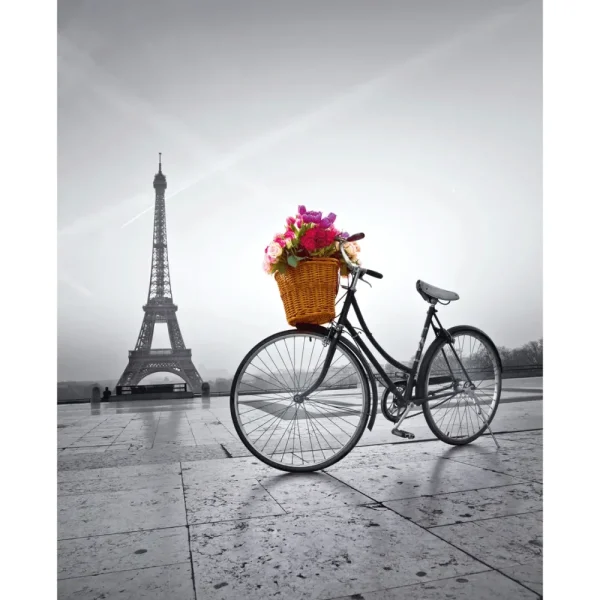 Fashion Puzzle High Quality Collection Romantic Promenade In Paris 500 Pezzi, Puzzle Adulti Puzzle 500 Pezzi