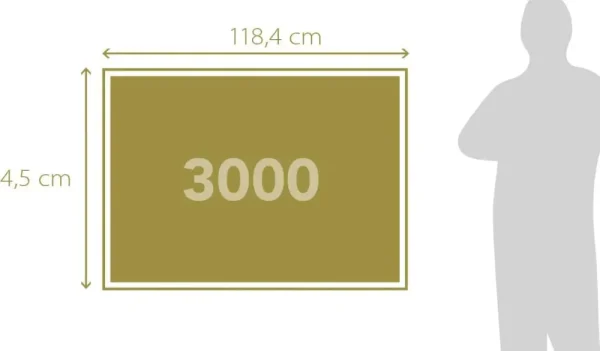 Best Puzzle Paris Dream 3000 Pezzi Puzzle 2000 Pezzi