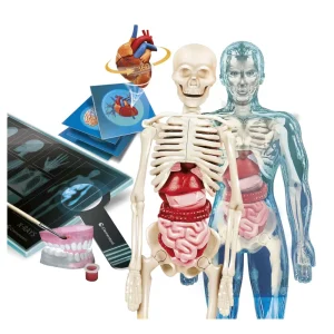 Cheap Clementoni Lab Anatomia Super, Laboratorio Scientifico Giochi Scientifici