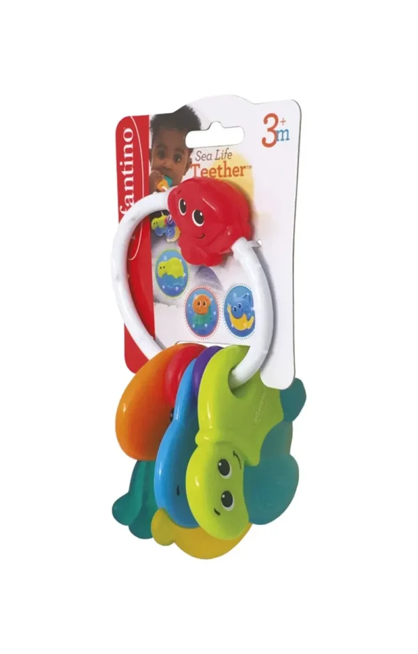 Cheap Dentaruolo Animali Marini Trillini E Sonagli