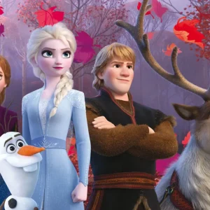 Flash Sale Disney Puzzle Maxifloor 2 X 24 Frozen Puzzle Per Bambini
