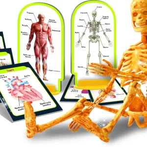 Best I'M A Genius Scopri Il Corpo Umano Giochi Scientifici