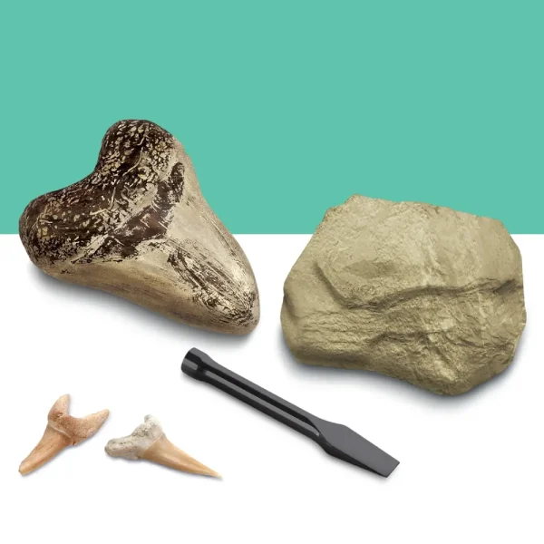 Best Sale Kit Paleontologo Con 2 Denti Di Squalo Giochi Stem