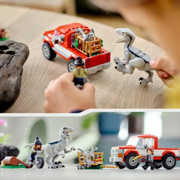 Shop Jurassic World 76946 La Cattura Dei Velociraptor Blue E Beta, Giochi Per Bambini Di 6+ Anni Con Dinosauri Giocattolo Mattoncini