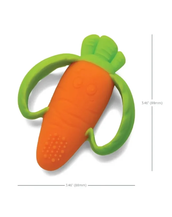 Cheap Massaggiagengive Carota 0+ M Trillini E Sonagli