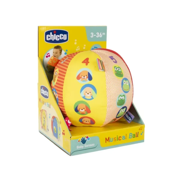 Sale Palla Musicale Giochi Musicali