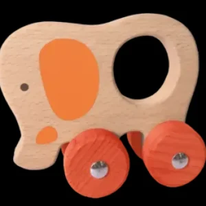 Online Push Animals Veicoli In Legno