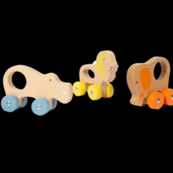 Online Push Animals Veicoli In Legno