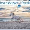 Sale 500 Pezzi Cavallo In Spiaggia Puzzle 500 Pezzi