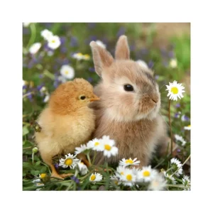 Discount 3 Puzzle 49 Pezzi Teneri Coniglietti Puzzle Per Bambini