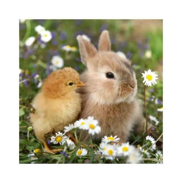 Discount 3 Puzzle 49 Pezzi Teneri Coniglietti Puzzle Per Bambini