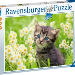 Shop Puzzle Gattino Nel Prato, 500 Pezzi, Puzzle Adulti Puzzle 500 Pezzi