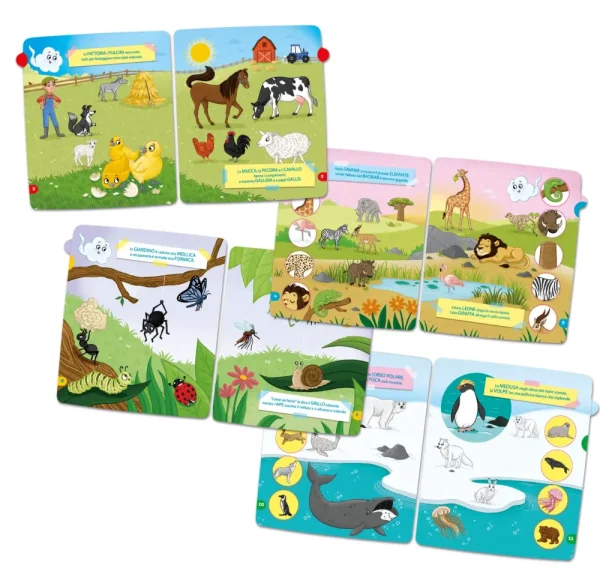 Best Girapagina Libro Animali E Ambienti Primi Apprendimenti