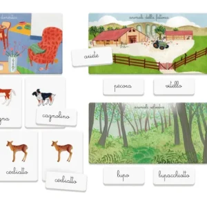 Fashion Montessori Gli Animali E I Loro Cuccioli Primi Apprendimenti