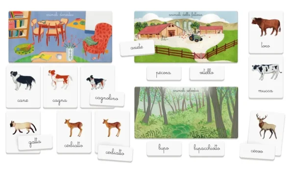 Fashion Montessori Gli Animali E I Loro Cuccioli Primi Apprendimenti