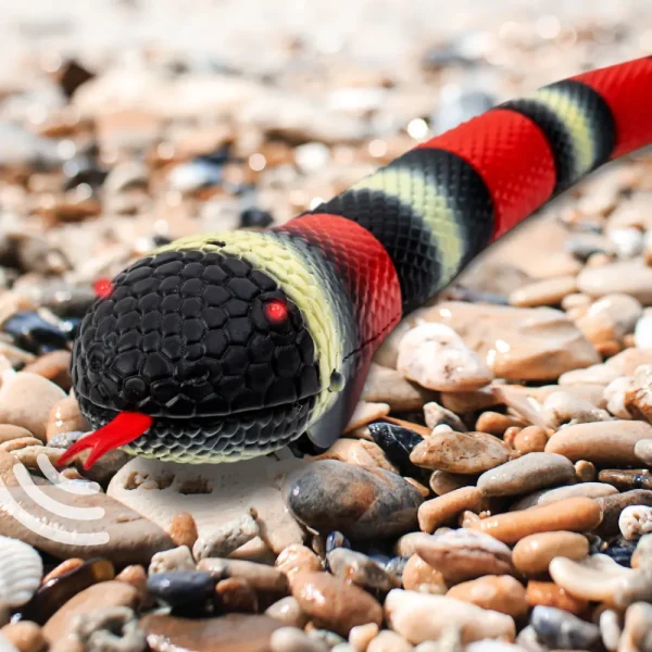 Discount Serpente Radiocomandato Con Suoni Realistici Tablet E Giochi Interattivi